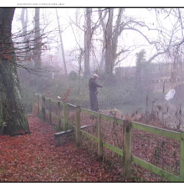 Ringwood, Hampshire, UK Nestled at the edge (now) of the New Forest, Ringwood is my home town in the UK